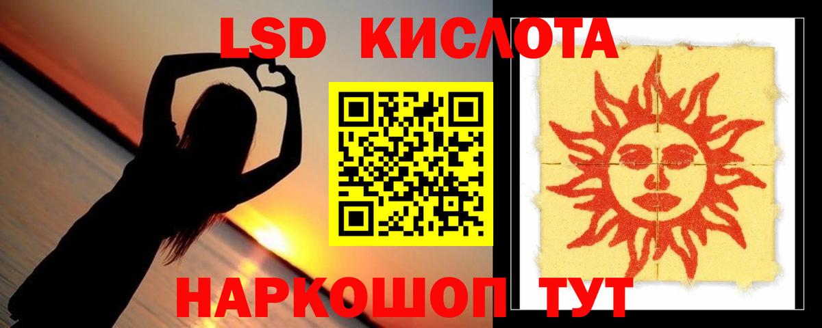 Псилоцибиновые грибы Коркино